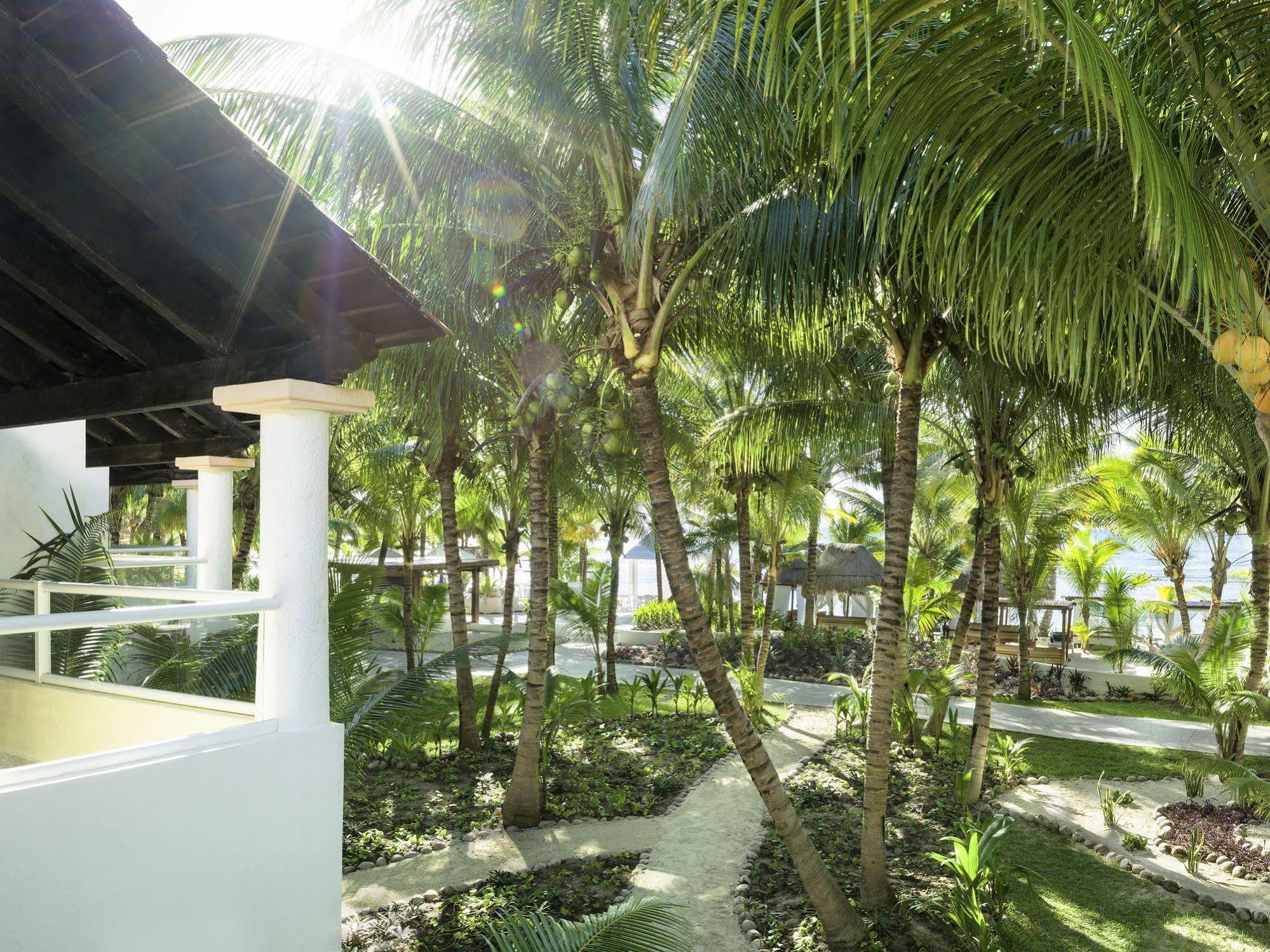 El Dorado Seaside Palms Adults Only Otel Xetna Dış mekan fotoğraf